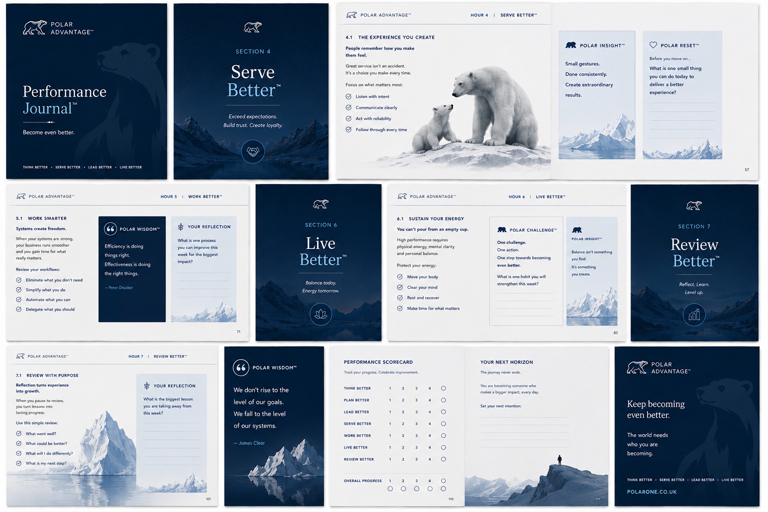 Polar Advantage business performance system pages and concepts